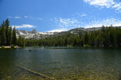 DSC_0002 (Large).JPG